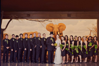 Illustration for article titled The Most Gorgeous Geek Wedding We've Ever Seen